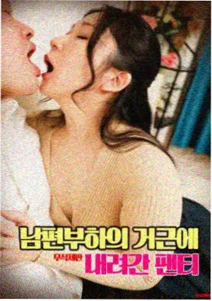 欧美新人导演伦理题材首作观察封面